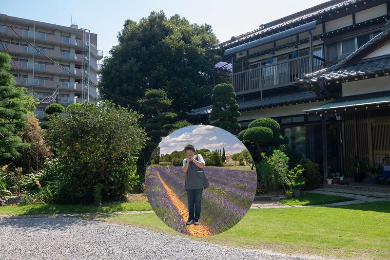 © Marilyne Grimmer - Matsudo, Japan - Lavender field, France