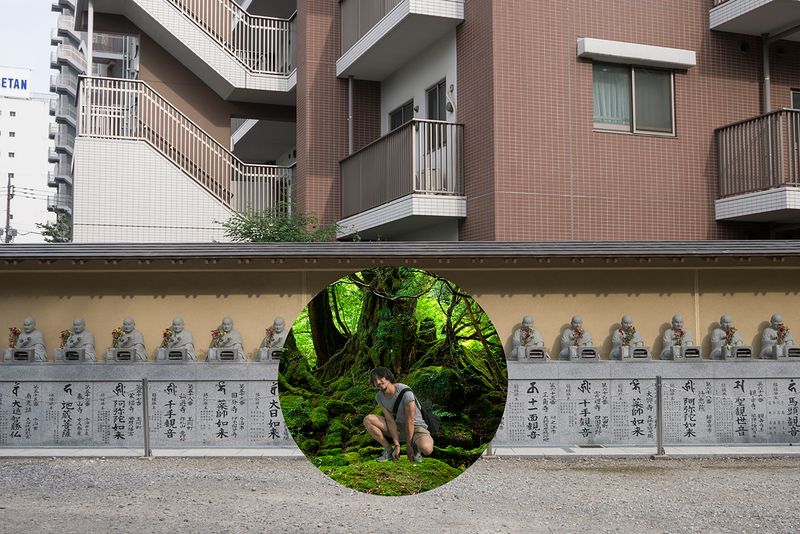 © Marilyne Grimmer - Matsudo, Japan - Jungle