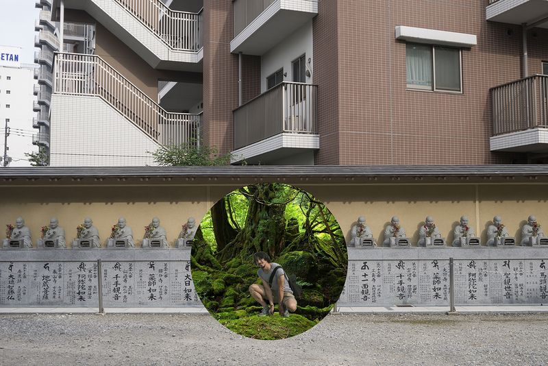 © Marilyne Grimmer - Matsudo, Japan - Jungle