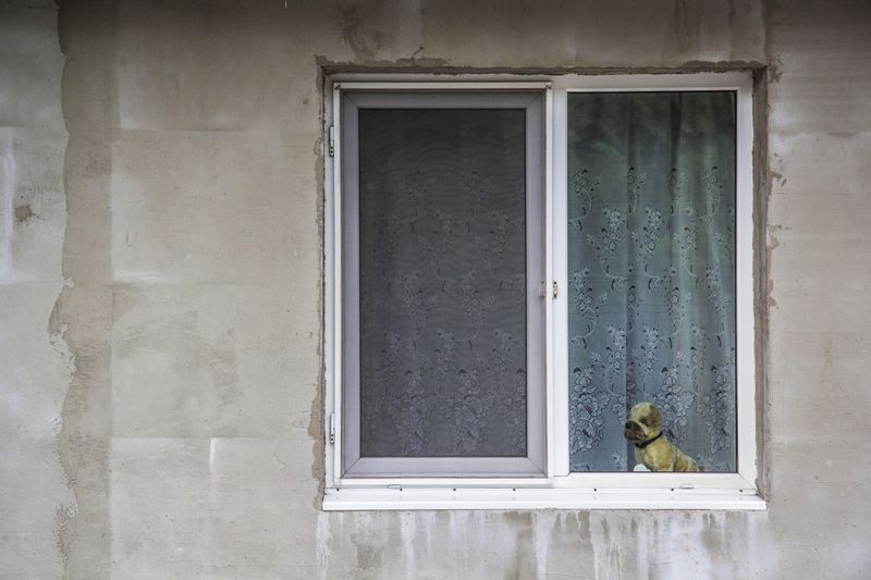 © Clara Kleininger - Image from the A Town to Read photography project