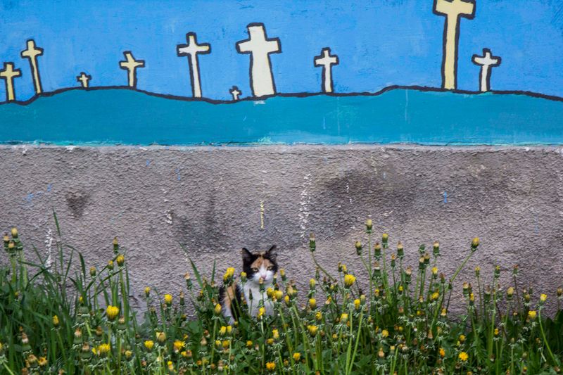 © Clara Kleininger - Image from the A Town to Read photography project