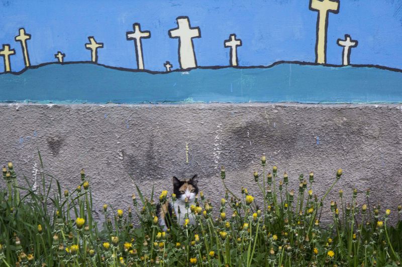 © Clara Kleininger - Image from the A Town to Read photography project