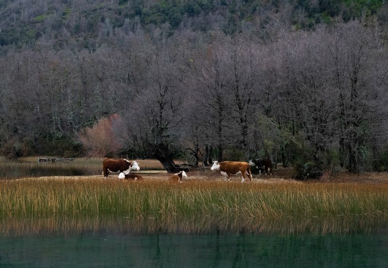 © Ale Conrado Carcasona - Image from the Ruta de los Siete Lagos photography project