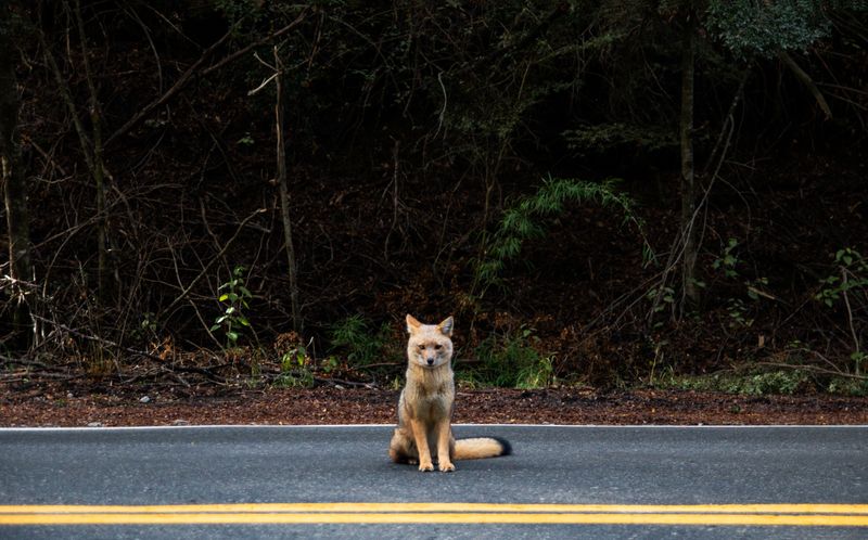 © Ale Conrado Carcasona - Image from the Ruta de los Siete Lagos photography project