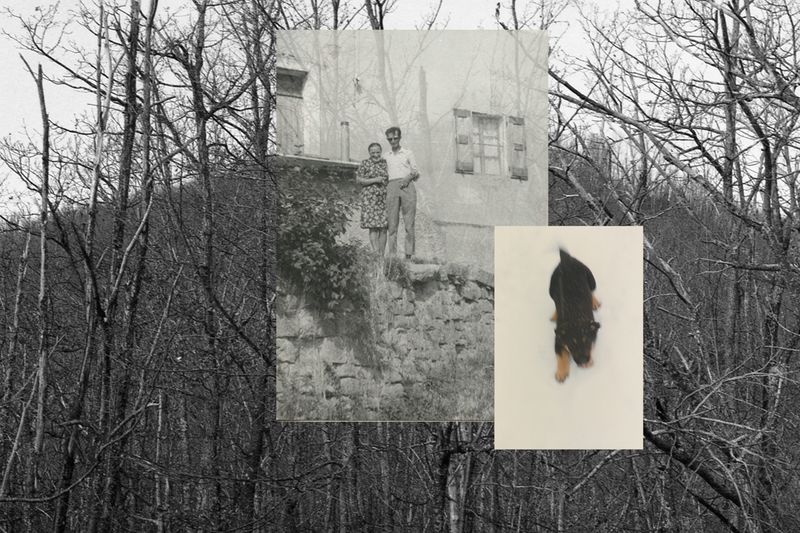 © Jessica Raimondi - Image from the Guideline photography project