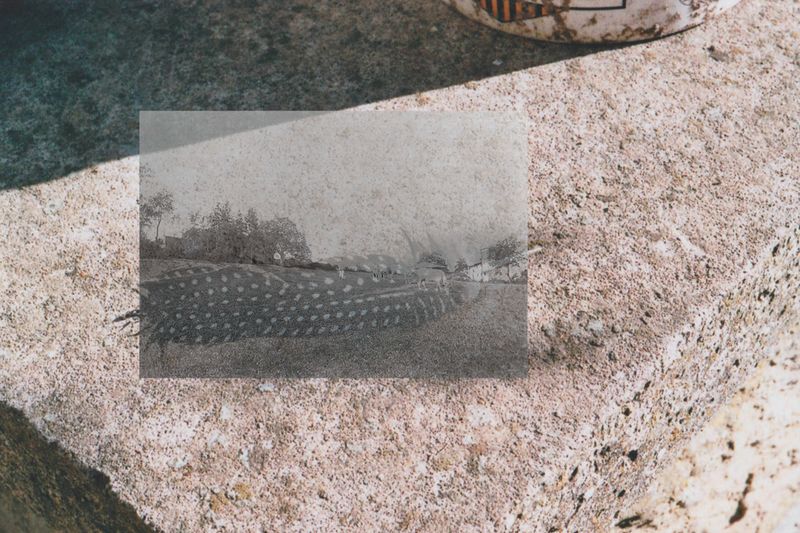© Jessica Raimondi - Image from the Guideline photography project