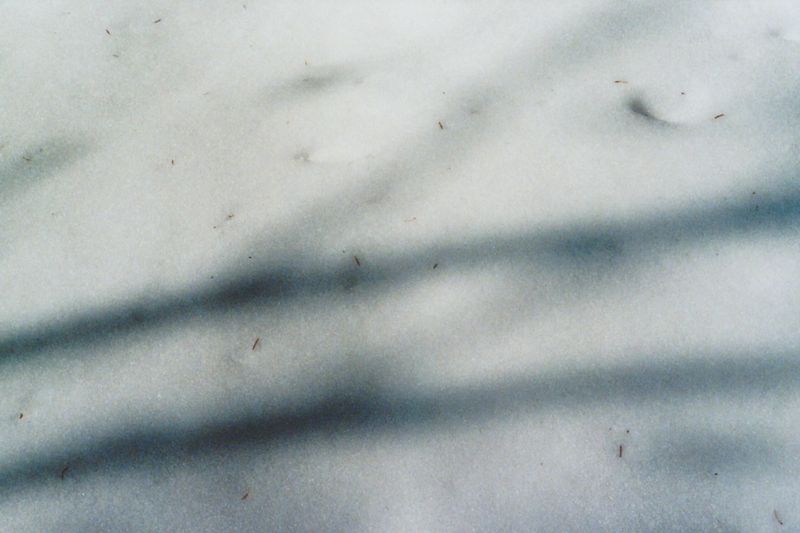 © Jessica Raimondi - Image from the Guideline photography project
