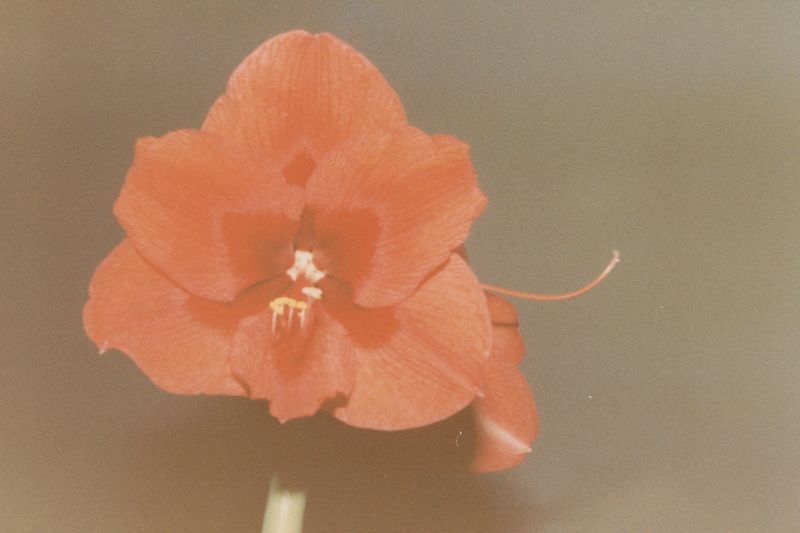 © Jessica Raimondi - Image from the Guideline photography project