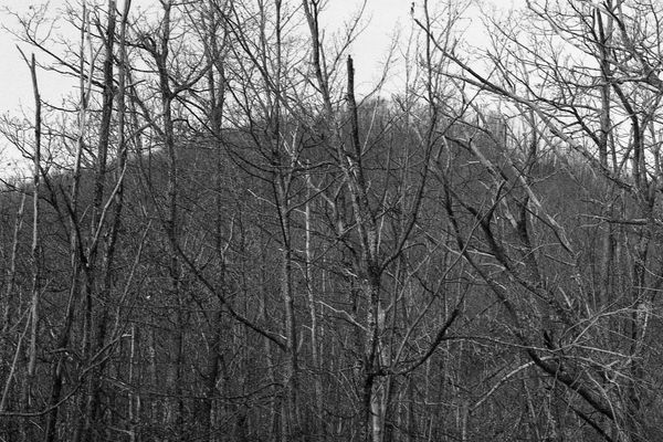 © Jessica Raimondi - Image from the Guideline photography project
