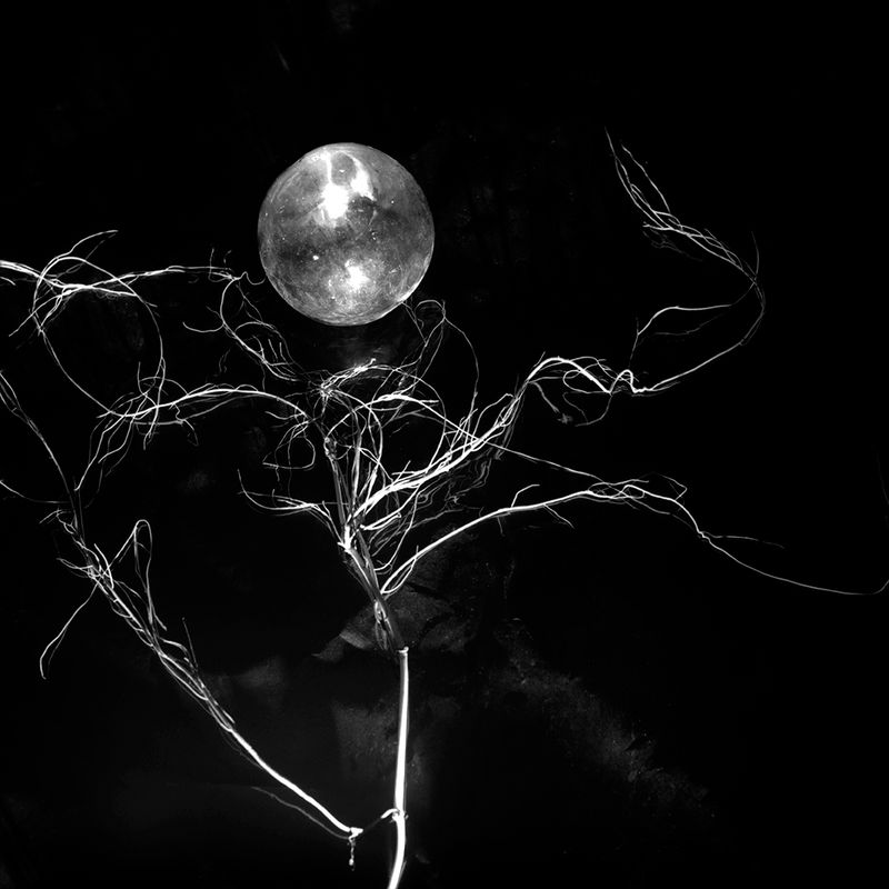 © Maria Jose Sesma - from the series The Role of Darkness