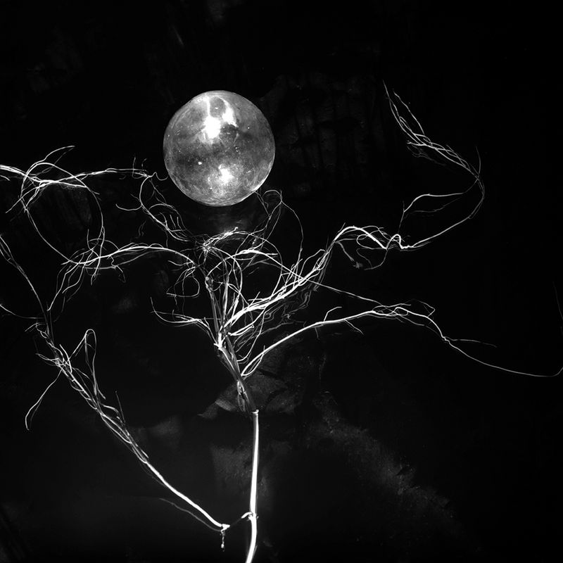 © Maria Jose Sesma - from the series The Role of Darkness