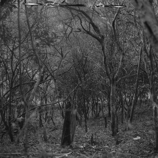 © Maria Jose Sesma - from the series The Role of Darkness