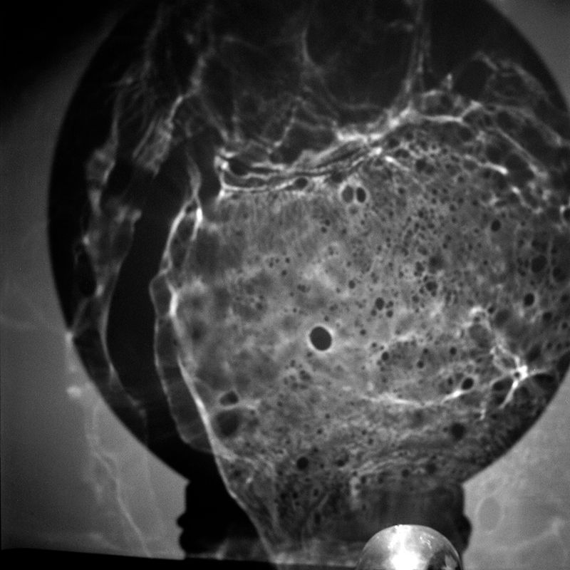 © Maria Jose Sesma - from the series The Role of Darkness