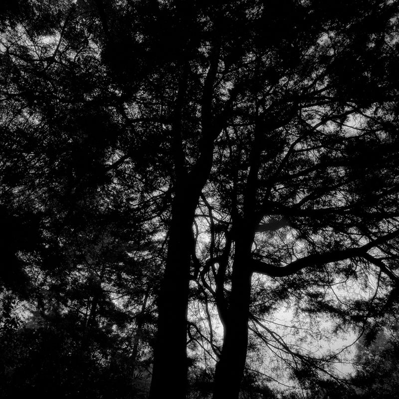 © Maria Jose Sesma - from the series The Role of Darkness