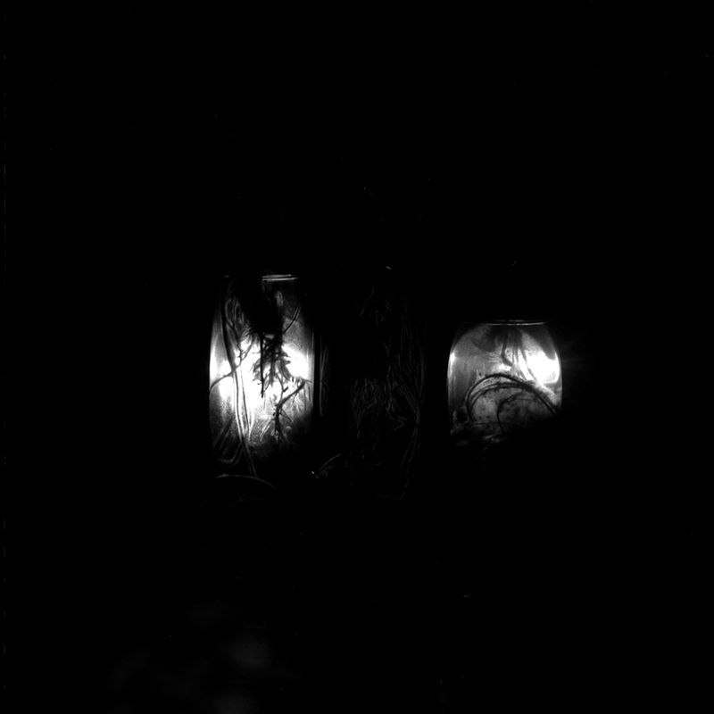 © Maria Jose Sesma - from the series The Role of Darkness