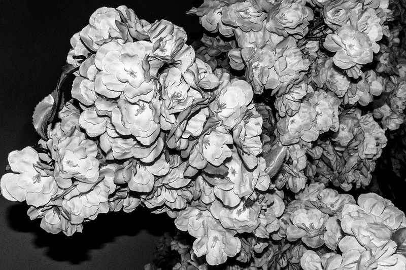 © Natthaya Thaidecha - Image from the Eclipse photography project