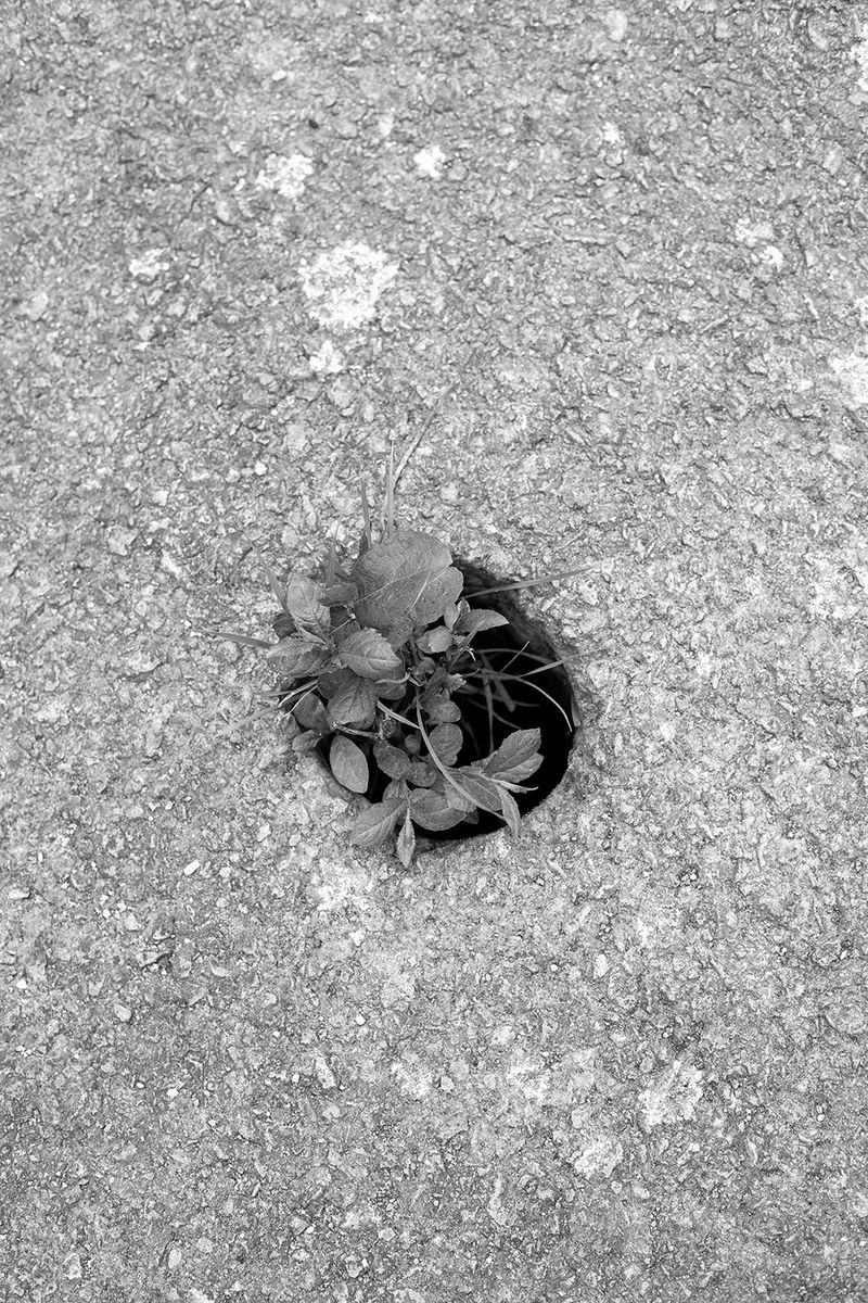 © Caroline ruffault - Image from the This noise inside us photography project