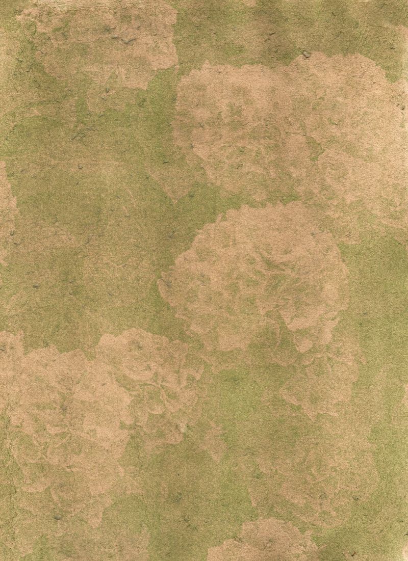 © Caroline ruffault - Image from the This noise inside us photography project