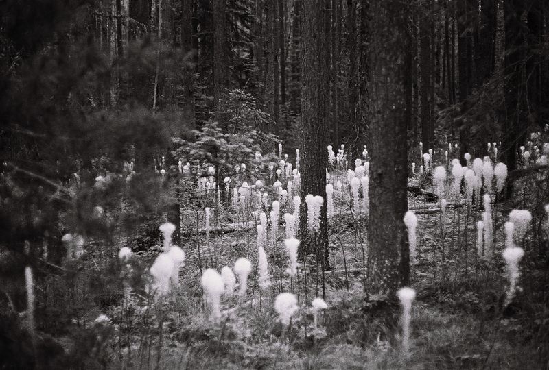 © Caroline ruffault - Image from the This noise inside us photography project