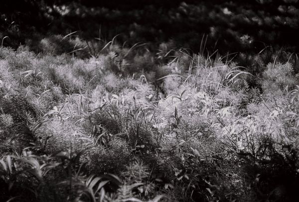 © Caroline ruffault - Image from the This noise inside us photography project