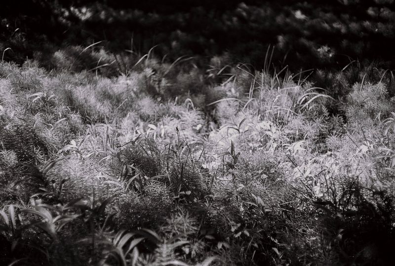 © Caroline ruffault - Image from the This noise inside us photography project