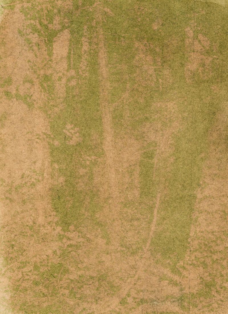 © Caroline ruffault - Image from the This noise inside us photography project