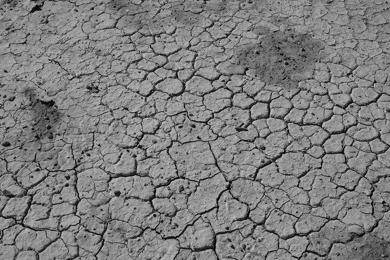 © Caroline ruffault - Image from the The Sky is Bigger in Texas photography project