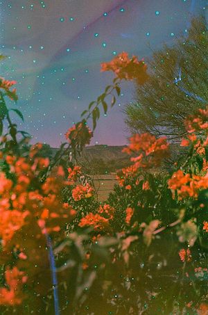 The Sky is Bigger in Texas