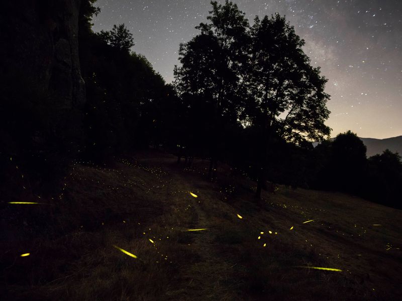 © Mattia Balsamini - Image from the Protege Noctem – If Darkness Disappeared photography project