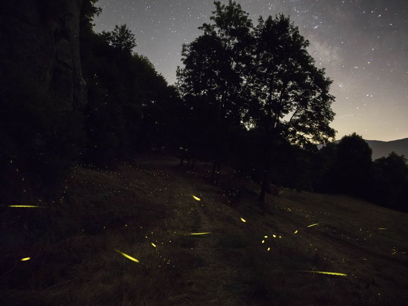 © Mattia Balsamini - Image from the Protege Noctem – If Darkness Disappeared photography project