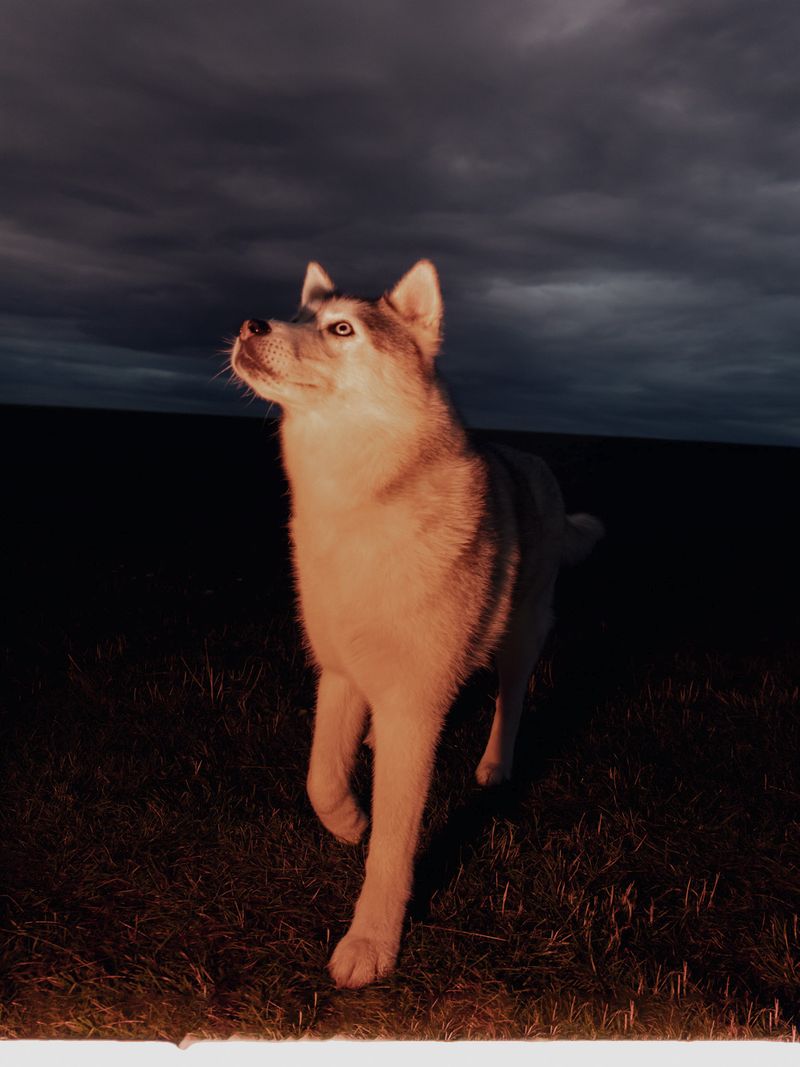© Mattia Balsamini - Image from the Protege Noctem – If Darkness Disappeared photography project