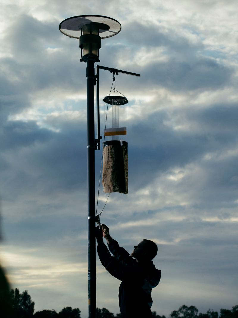 © Mattia Balsamini - Image from the Protege Noctem – If Darkness Disappeared photography project