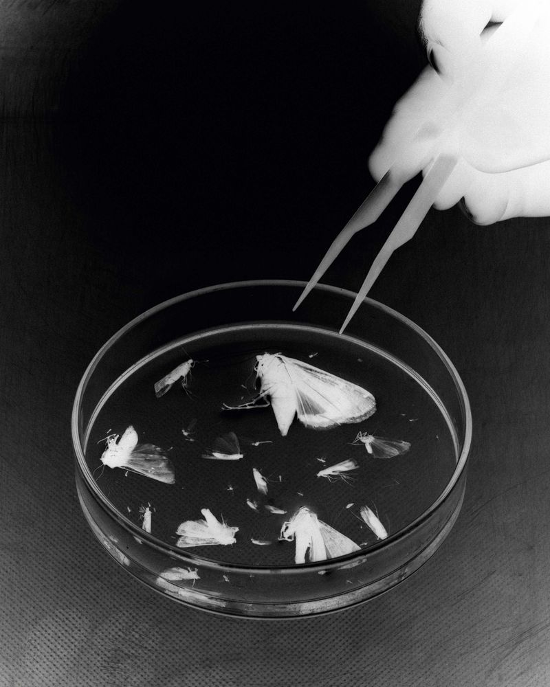 © Mattia Balsamini - Image from the Protege Noctem – If Darkness Disappeared photography project