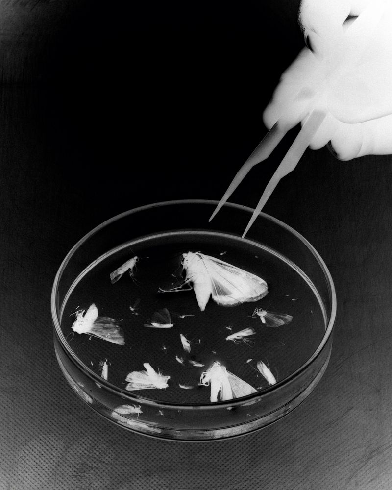 © Mattia Balsamini - Image from the Protege Noctem – If Darkness Disappeared photography project