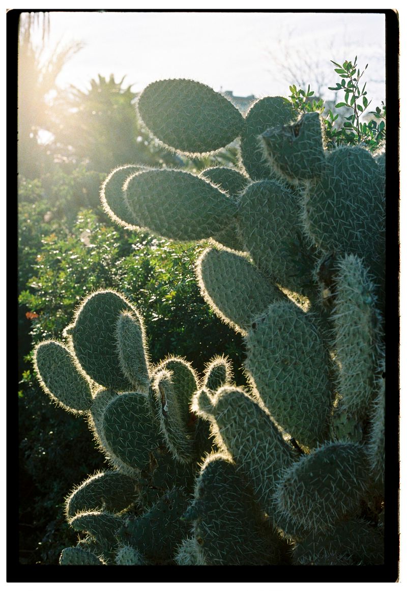© mformaud - Image from the Barcelona in analog photography project
