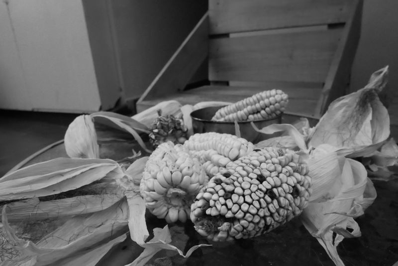 © mformaud - choclos