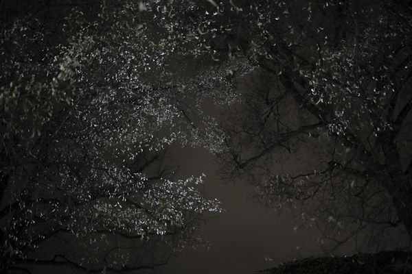 © Maria Giulia Trombini - Image from the My Name is Nico - a Love Story photography project