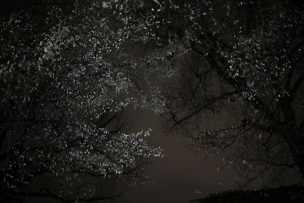 © Maria Giulia Trombini - Image from the My Name is Nico - a Love Story photography project