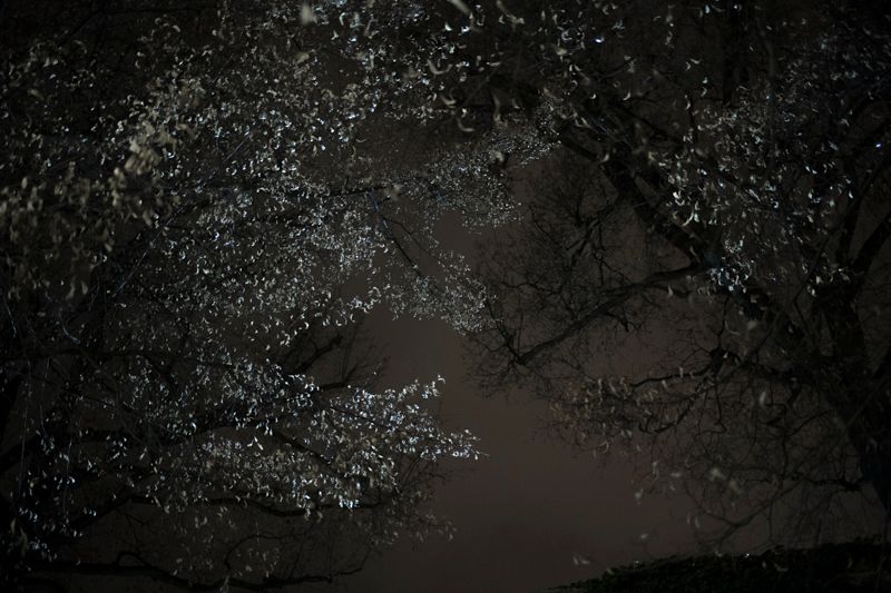 © Maria Giulia Trombini - Image from the My Name is Nico - a Love Story photography project