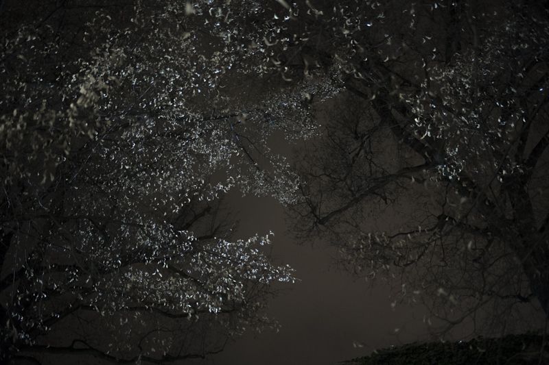 © Maria Giulia Trombini - Image from the My Name is Nico - a Love Story photography project