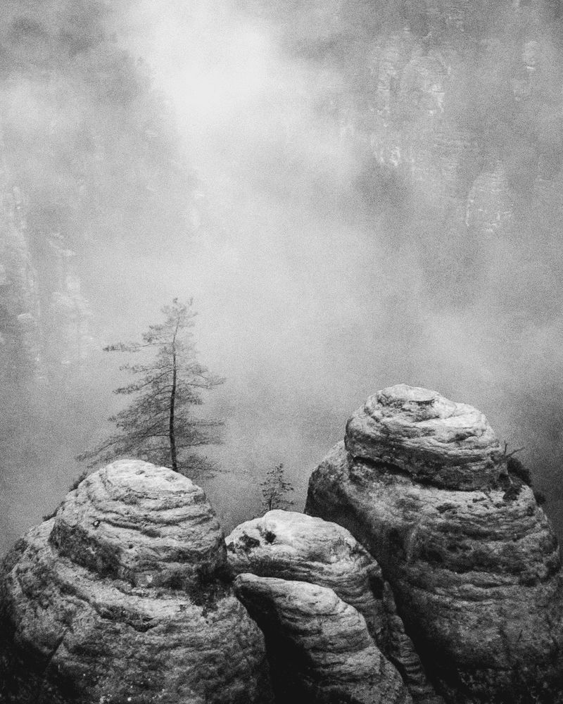 © Ina Königs - Image from the Silent Symphony photography project