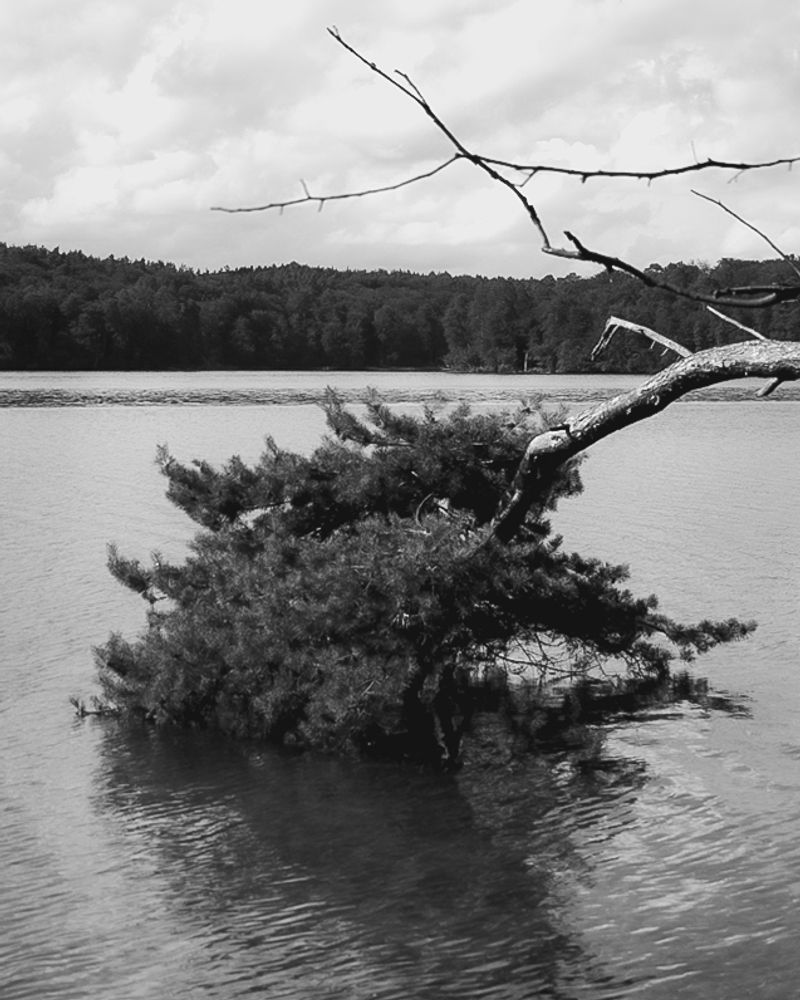 © Ina Königs - Image from the Silent Symphony photography project