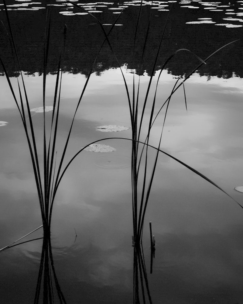 © Ina Königs - Image from the Silent Symphony photography project