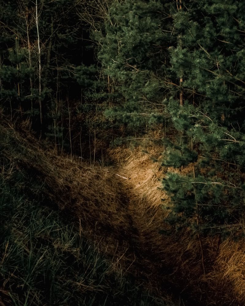 © Ina Königs - Image from the Silent Symphony photography project