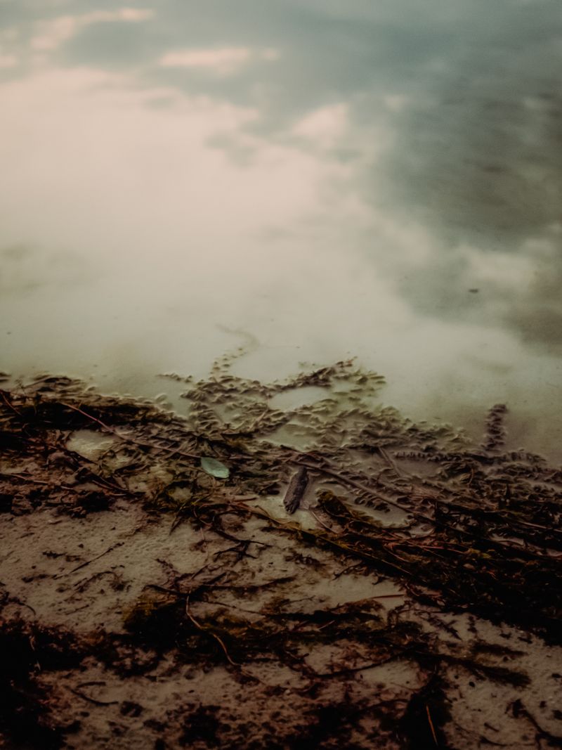 © Ina Königs - Image from the Silent Symphony photography project