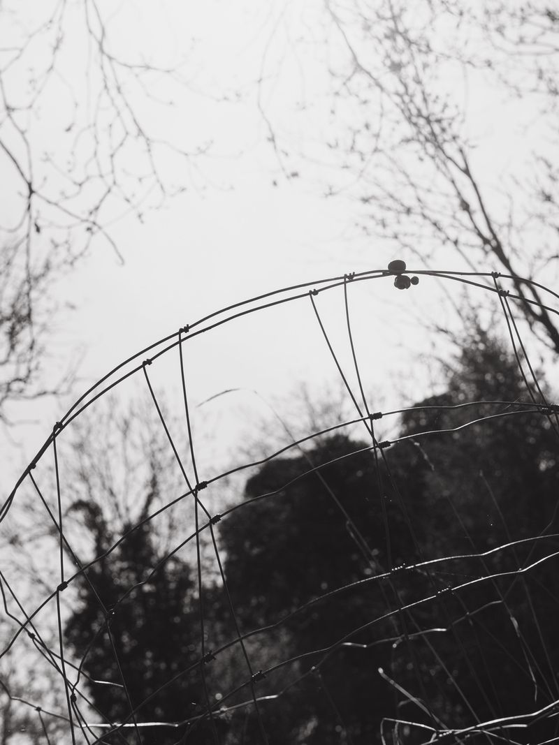 © Ina Königs - Image from the Still Here, and Gone photography project