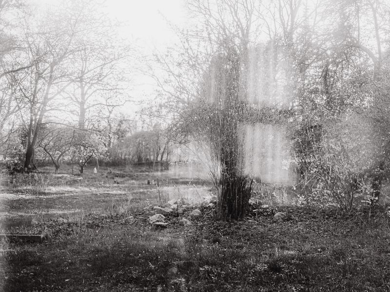 © Ina Königs - Image from the Still Here, and Gone photography project