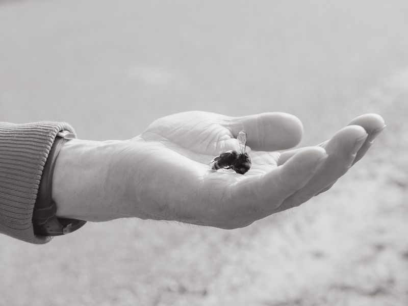 © Ina Königs - Image from the Still Here, and Gone photography project