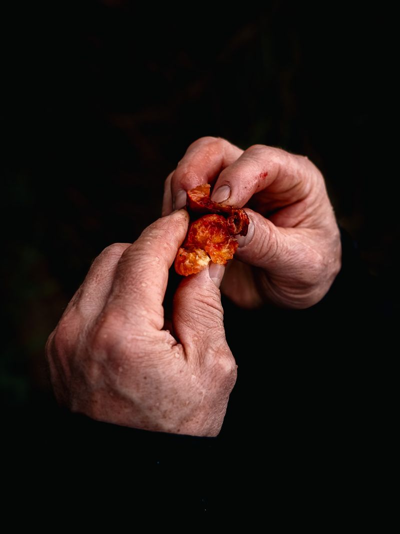 © Ina Königs - Image from the Still Here, and Gone photography project