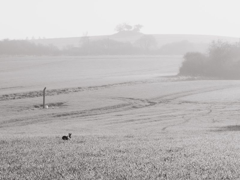 © Ina Königs - Image from the Still Here, and Gone photography project